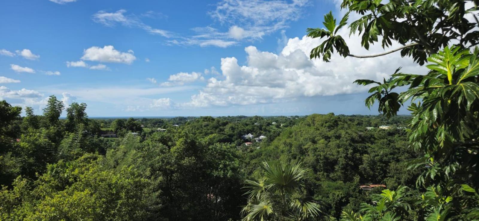 Maison Du Soleil Les Abymes Luaran gambar